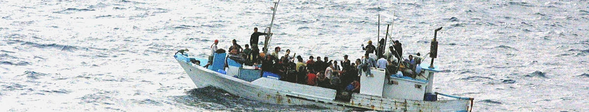 migration